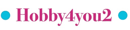 Logo Hobby4you2
